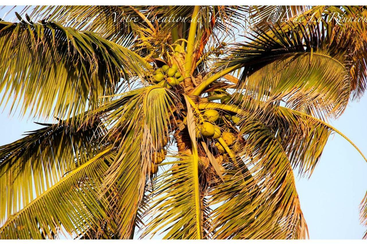 La Kaz à l'Étang - Votre Location de Vacances à l'Île de La Réunion Saint-Louis Exterior foto